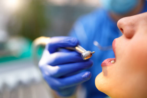 Best Dental Exams and Cleanings  in Trail Creek, IN